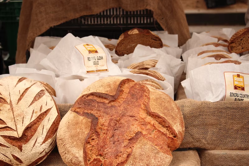 bread